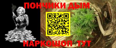 Альфа ПВП Будённовск