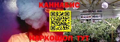 Альфа ПВП Будённовск