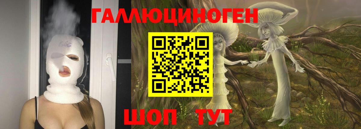 Галлюциногенные грибы Magic Shrooms  что такое наркотик  Вологда  Вход с VPN 