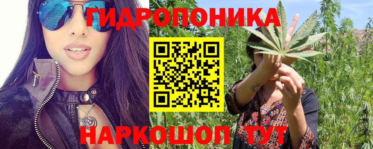 Вологда  Марихуана SATIVA & INDICA  Бошки Шишки индика  Вход с VPN  Канабис семена 